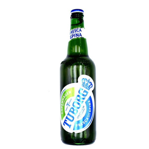 BIRRA TUBORG BT CL66 X66